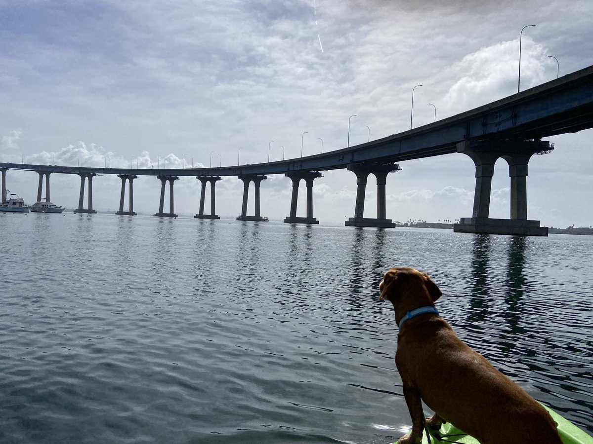 ChienforSTEM's tweet photo. Breathtaking views of the San Diego skyline and Coronado Bridge from a morning kayak. #OptforOutdoors https://t.co/j9wNVez2ls