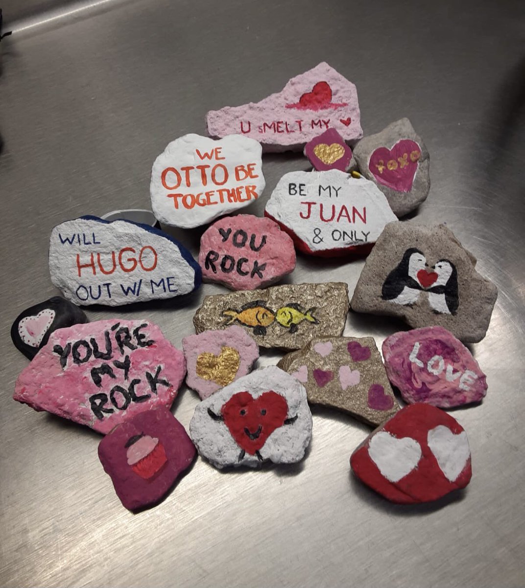 SyracuseZoo's tweet image. So what did you get for Valentine’s Day? Our Humboldt penguins got rocks. We use non-toxic paint to decorate their favorite nesting item. Male penguins Luis (green &amp;amp; black band) &amp;amp; Elmer (blue band) couldn’t wait to choose some to add to their nests! 
#syracusezoo #ValentinesDay