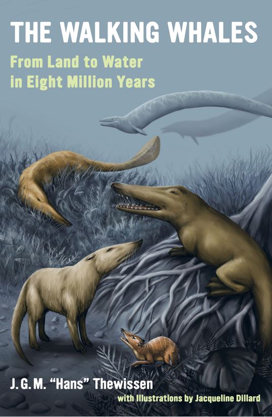 As noted by Thewissen in his 2014 book The Walking Whales, it was also partially driven by the fact that people’s views on the antiquity of  #archaeocetes were vague: they knew that  #Basilosaurus was prehistoric, but not necessarily that it was more than 30 million years old...