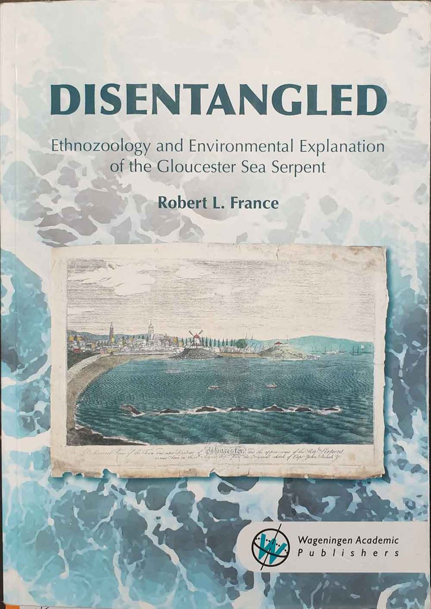 As explored thoroughly in Robert France’s 2019 book Disentangled, it today seems that the sightings concerned involved large animals (like tuna) seen tangled up in discarded fishing gear. I reviewed France’s book here…  http://tetzoo.com/blog/2019/11/8/a-review-of-robert-l-frances-disentangled-ethnozoology-and-environmental-explanation-of-the-gloucester-sea-serpent  #seamonsters