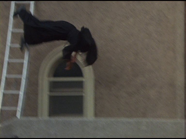 ddoniolvalcroze's tweet image. 