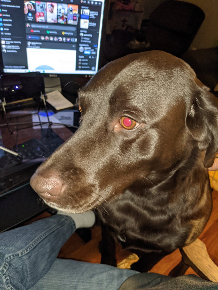 Jaymact4's tweet photo. laser vision, activate https://t.co/hDZ8ipXSjH
