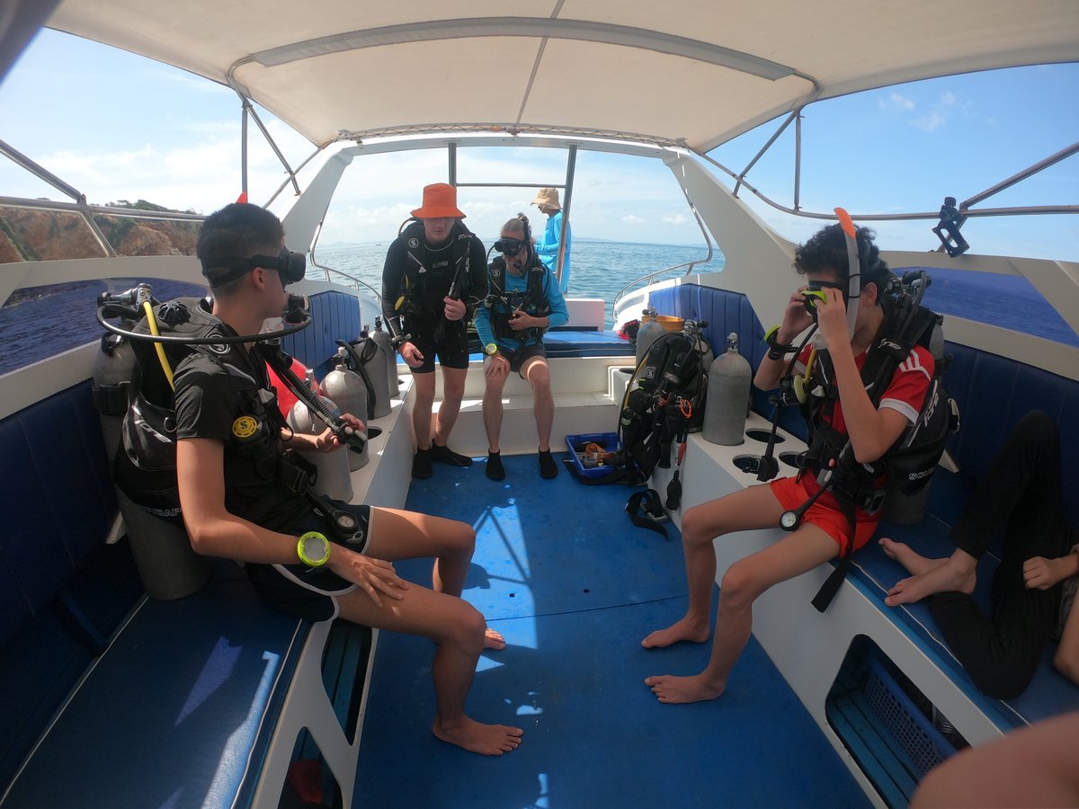 realpattayadive's tweet photo. #Fundiivng #Divingthailand #Newdivers #Divebuddies #Padithailand #Padiinstructors #Padidivemaster #Pattayacity #Divingpattaya #Bangkokdivers #Pattayamarinelife #Thailandshipwrecks #Nirtox #Thailanddivesites #Amazingthailand https://t.co/cBU6BdzguK