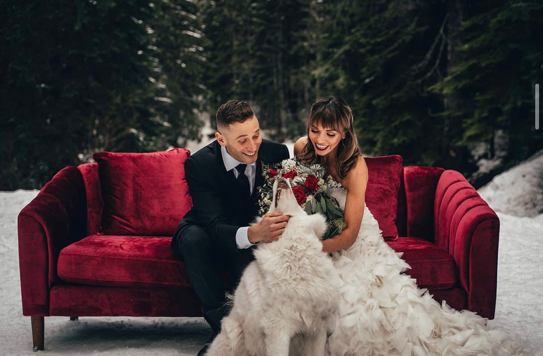 GenerationTux's tweet photo. Where there is LOVE there is LIFE. -Gandhi #valentinesday2021 #gentux
๐ท : @cswindellphotography https://t.co/oVLFLhmZEk