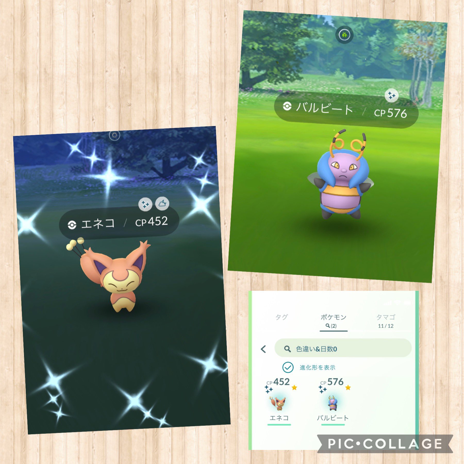 アズキャン ポケgoブログ Simpleas Canbe Twitter
