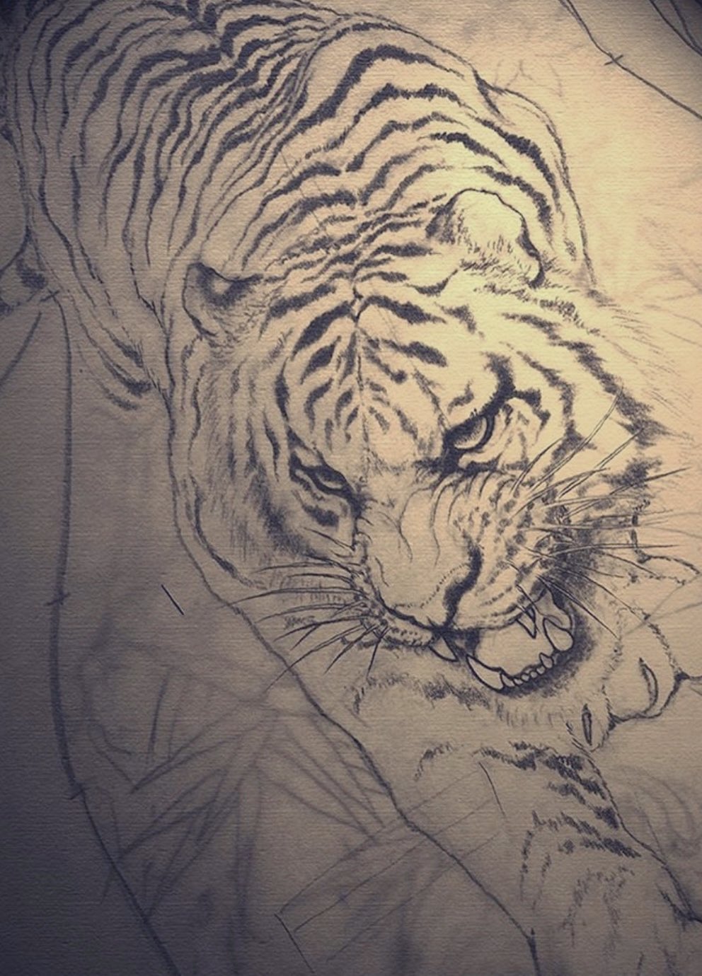 Hori 虎 下絵 刺青虎が示す意味合い勇敢 肉体的力の象徴 和彫りに関しては龍と虎を一緒に彫ることは力の意味合いが異なり喧嘩すると言われてます なのでオススメはできませぬ T Co K5lg8nrsjy Twitter