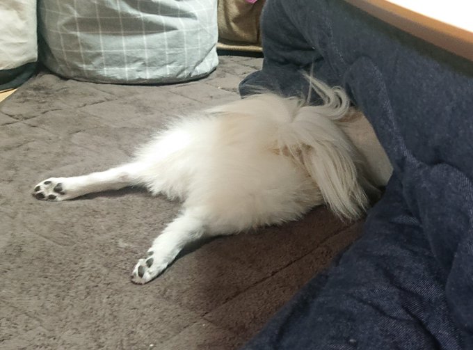 スピッツのtwitterイラスト検索結果 古い順