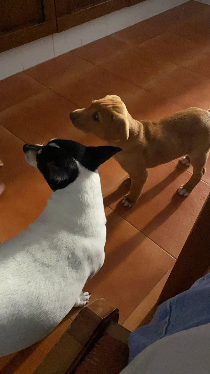 RaquelPa98's tweet photo. @sussooss 🥰🥰🥰😋 https://t.co/VWejXhiVfJ
