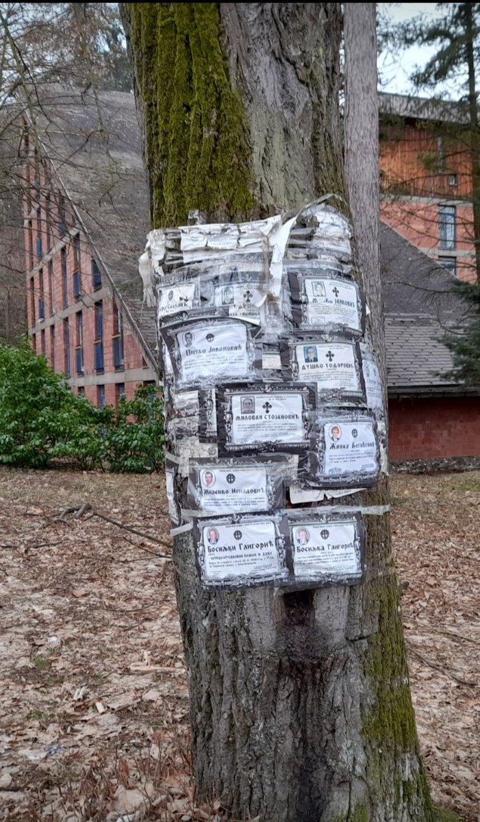 Dobro jutro
Došao par dana na odmor u jedno turističko mesto.Slike na   banderama i drveću na prvi pogled obećavaju dobar provod