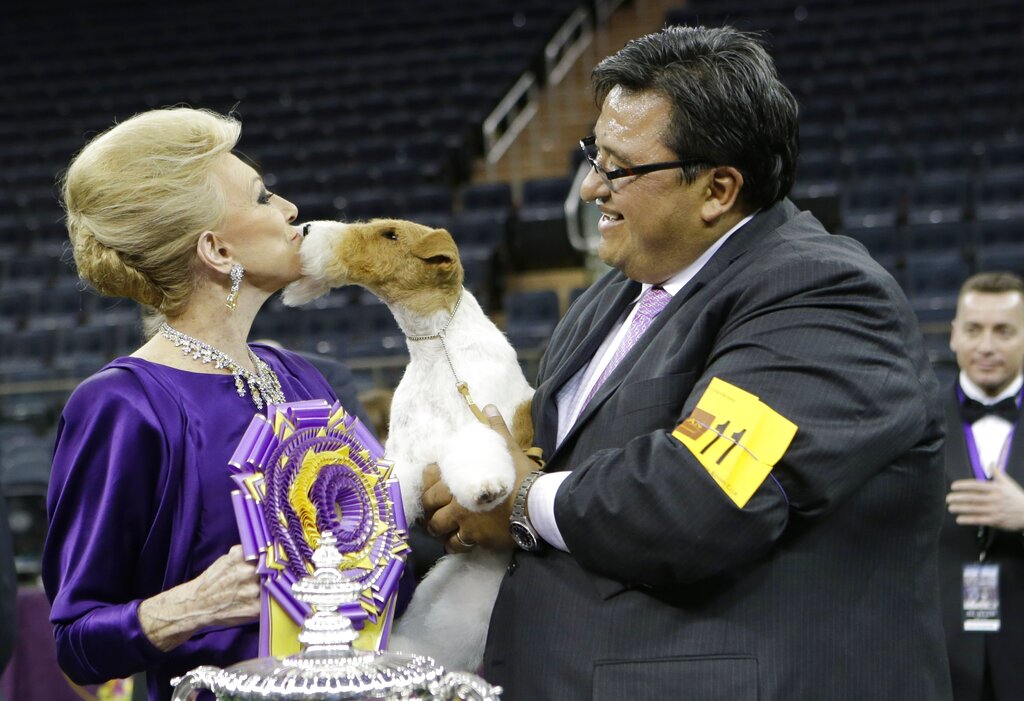 SentinelMagColo's tweet image. Good dogs! 20 years of covering #Westminster Kennel Club show - Sentinel Colorado ow.ly/JU3Z50DAfyu #AKC #Pets #Dogs #WestminsterDogShow