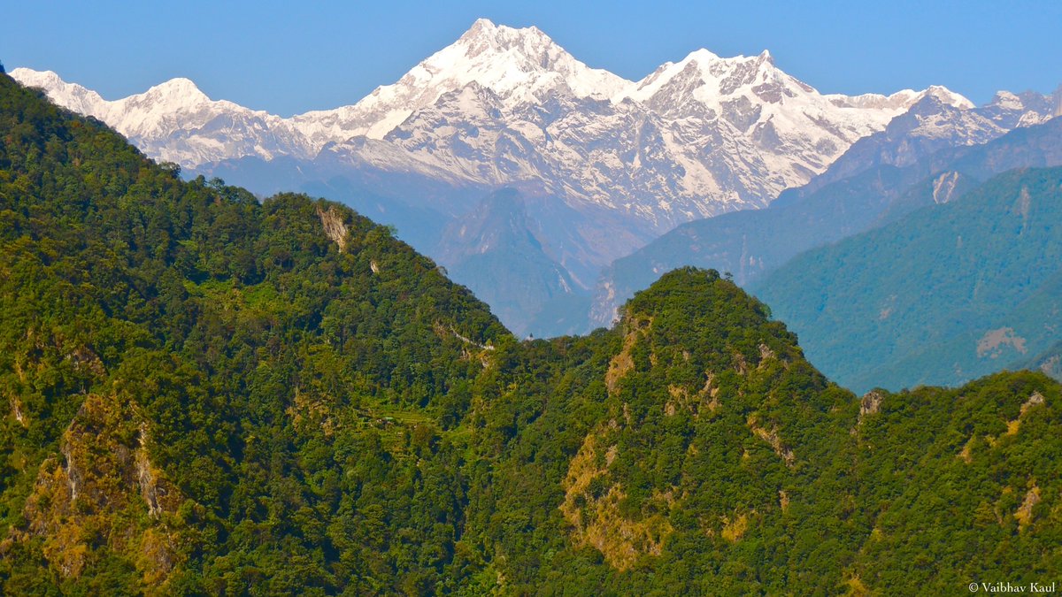 Himalayologist's tweet photo. An easterly view of the sacred Kangchendzonga (8,586 m) from the densely forested ancestral lands of the Lepcha (Rongkup) https://t.co/KWSeWh0gal