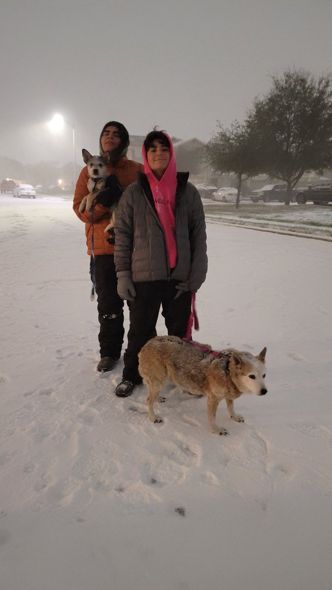 Snow Day San Antonio, TX 02/14/2021 #blueheeler #myboys #Thor #Katy https://t.co/SgylQMdUxw