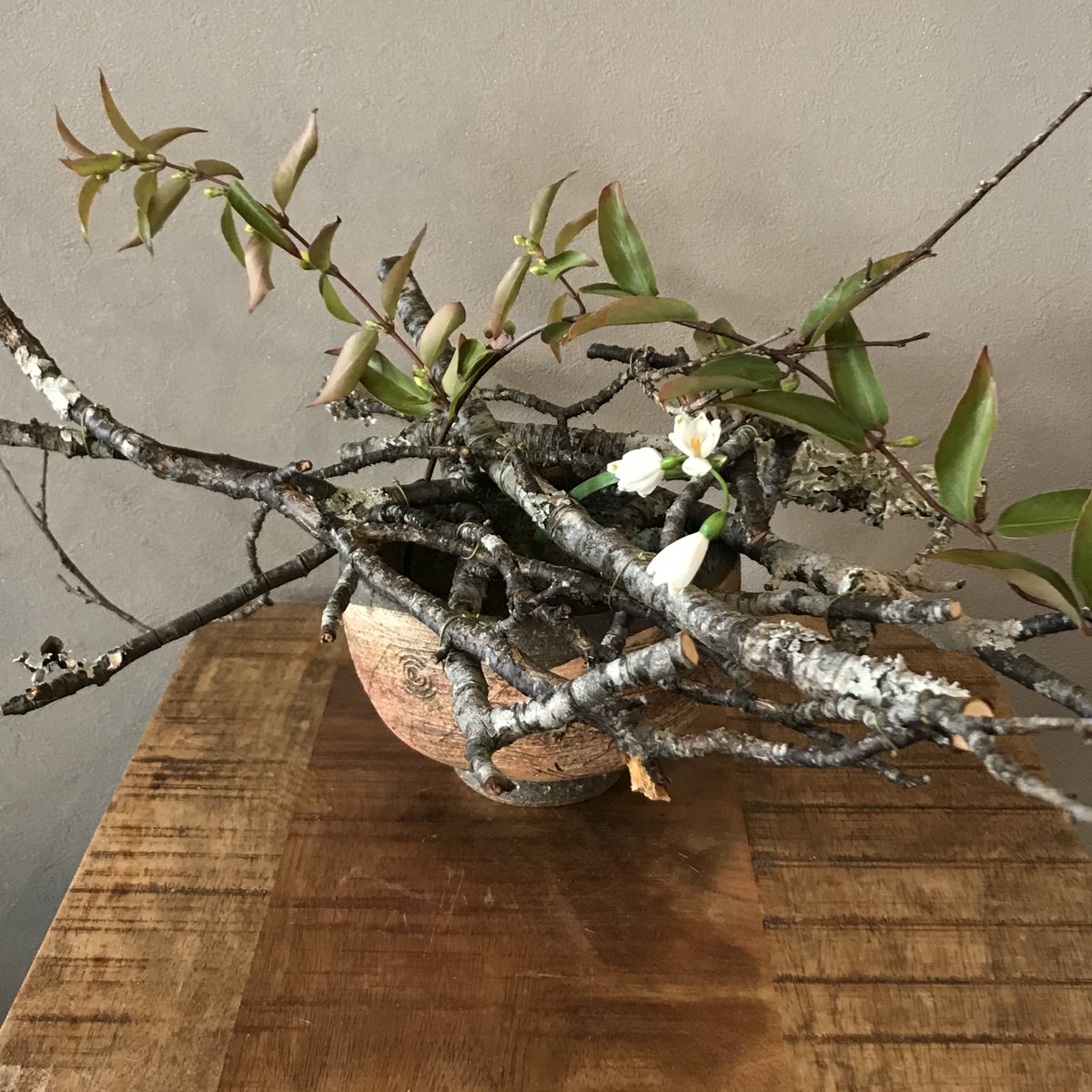 Kanon Flowerdesign 代々木 奥渋 枯れ枝の中から Flower Design 松井達彦 Kanon フラワーデザイナー 花装飾 空間装飾 品川プリンスホテル装飾 代々木公園 Pocokanon 花屋 観葉植物インテリア Tv装花