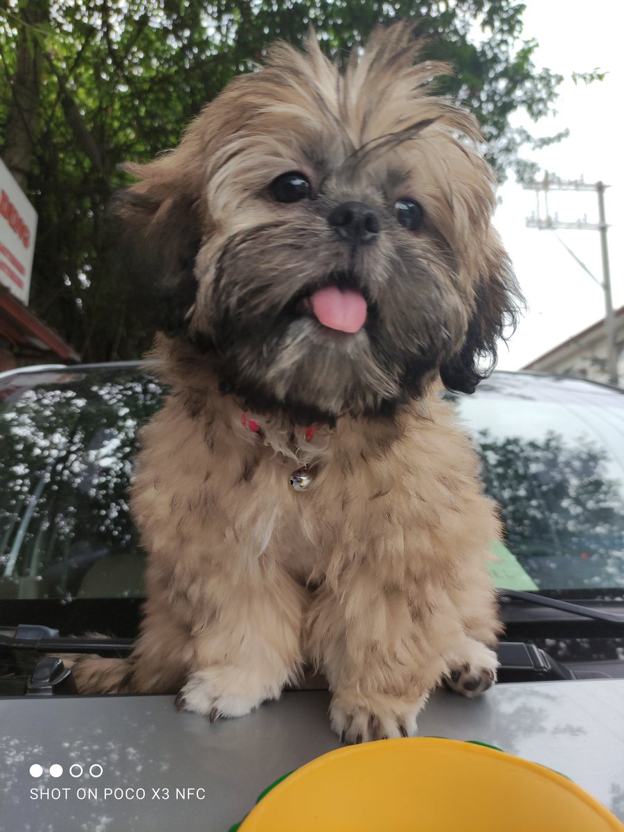 iamoverfed's tweet photo. Why so cute.... https://t.co/P010GWafON