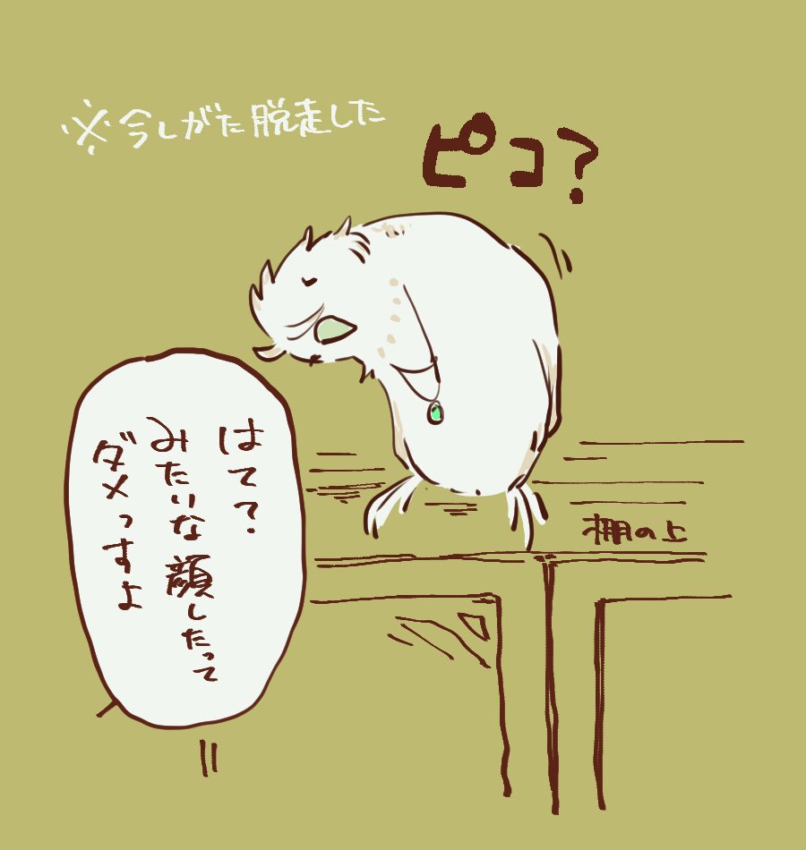 ※カズナリミヨシが普通にインコになってる
鳥がたまにするこの動き大好き 