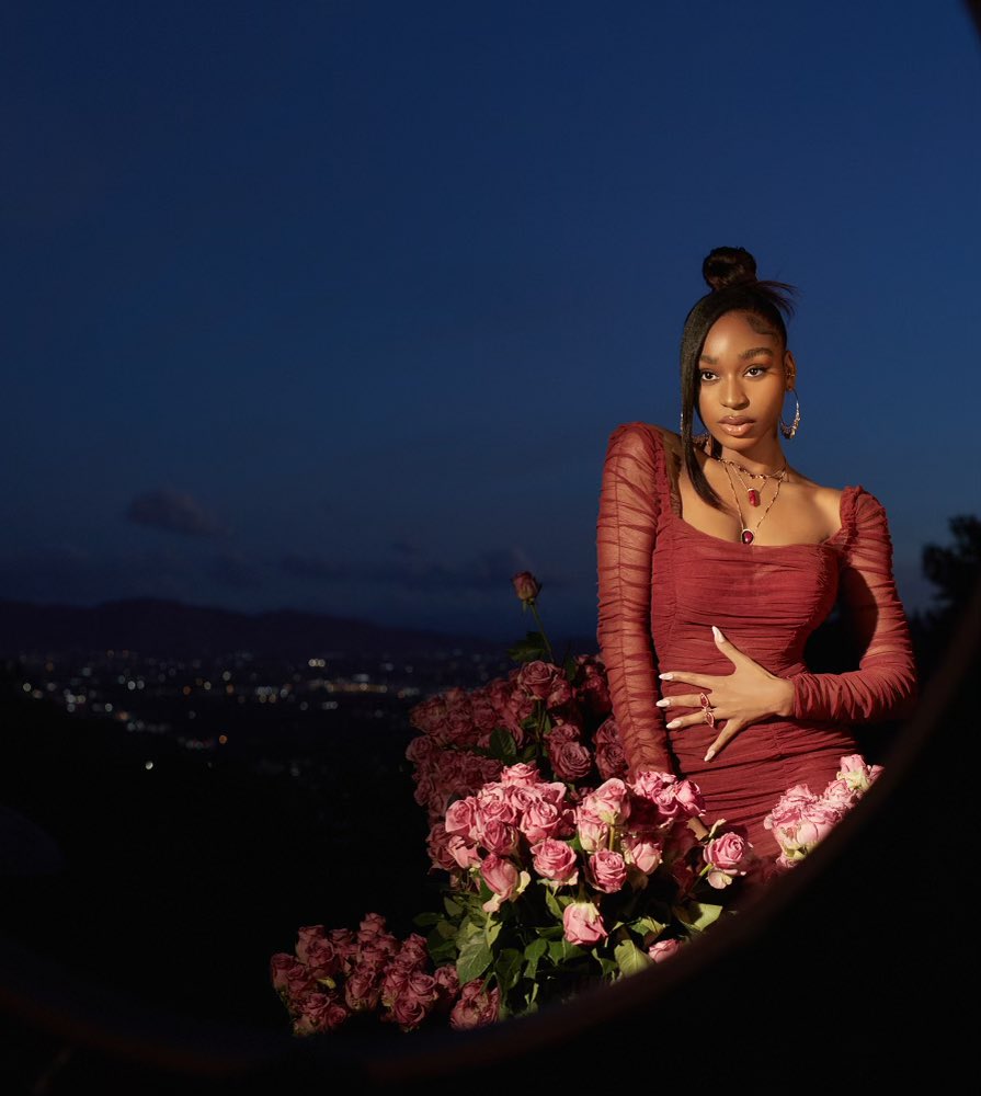 Normani tweet picture