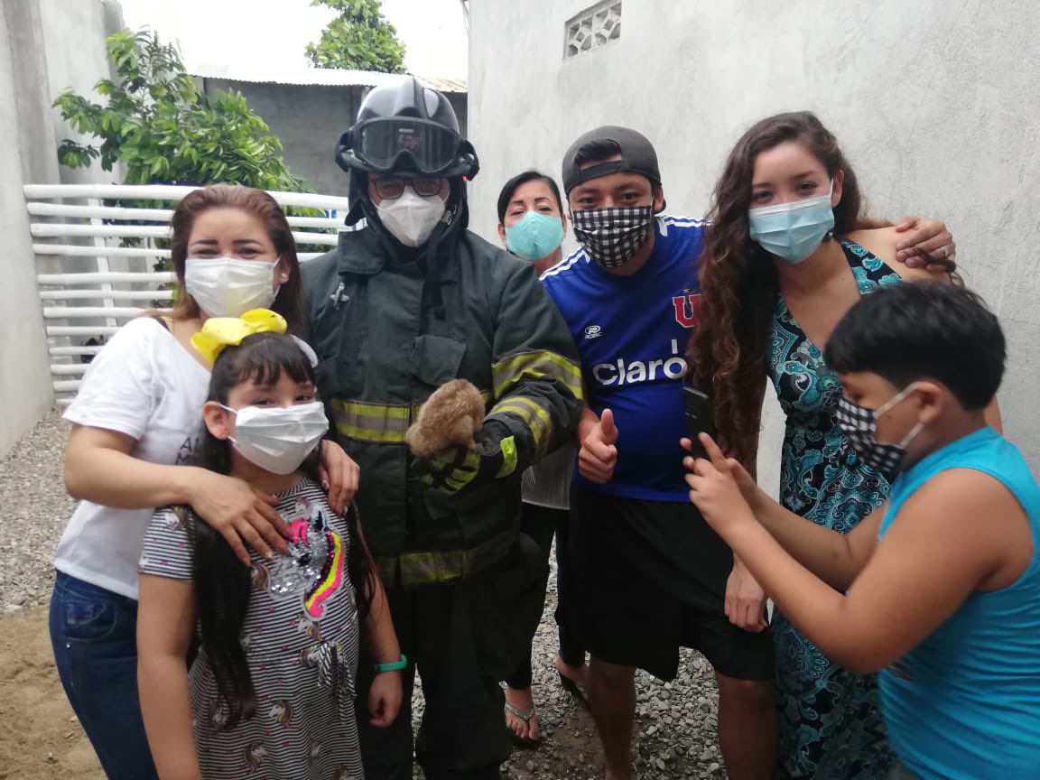 Hoy rescatamos a un amigo muy peculiar, un pequeño oso hormiguero que se encontraba al interior de un domicilio, invitamos a la ciudadanía a no lastimar a estos animalitos, si los encuentras llamada de inmediato a emergencias. 

#bomberosmachala