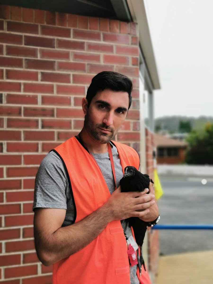 RealeLearnGood's tweet image. Just another day at work.