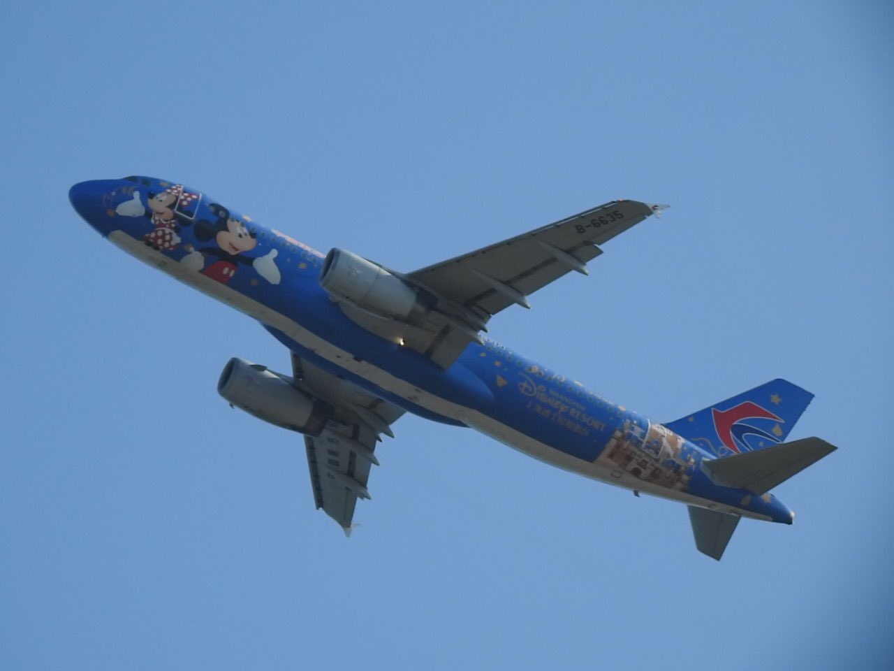 ラッピング飛行機 Twitter Search Twitter