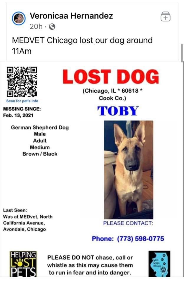 MaraMayhem777's tweet image. Addison area folks: be on the lookout for this poor guy