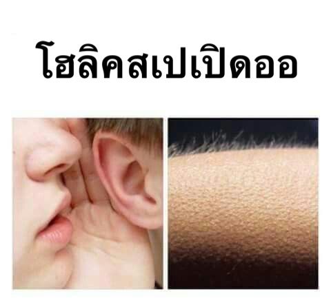 ᵻ𓊪͇ᚐ  ¯  ₊  ᱸ  𓈒  holic ✦ spe ᚐ𓎭͇𖠵 𓈒  ⚔️  𓈒  ᱸ  ₊  ¯  ᚐ𓊪͇ᵻ
ᱸ  𓈒  ‡𓊪͇ᚐ  ˉ❨  ᚐ𓎭͇ᵼ  ᱸ  @holicspex  ᱸ  ᵼ𓎭͇ᚐ  ❩ˉ  ᚐ𓊪͇‡  𓈒  ᱸ
𖠵𓎭͇ᚐ ＇ 𓈒  ᱸ  ☠️ ¬ 🎱 ᚐ𓊪͇‡ 𓈒 #โปรแฟม  ᱸ  𓈒 ＇ ᚐ𓎭͇𖠵