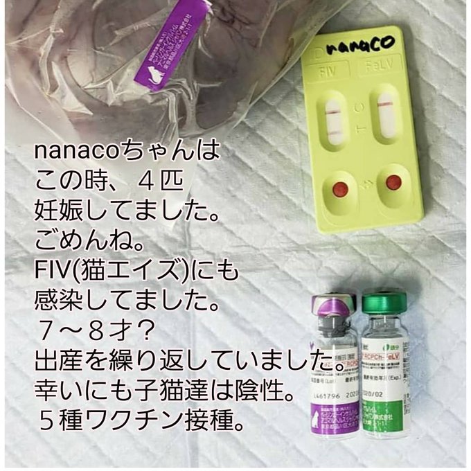 Nanacoのtwitterイラスト検索結果