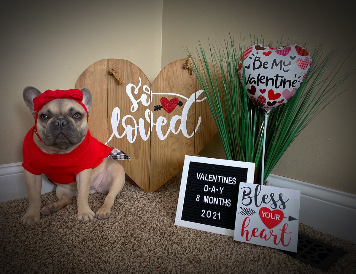 NSmith12208's tweet photo. Happy Valentine’s Day from the Smith family, and our Millie Jae, of course ❤️🧡💛💚💙💗💜 #ValentinesDay #2021 #inthehousebored 
(My kids didn’t get out of their pj’s today, so they’d never allow me to post their Valentine pics 😆) https://t.co/h5xPWGaNVD