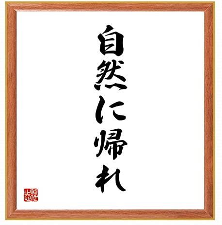 ナル心理学 自分を知れる16タイプ性格診断テスト Mbti 心理学者 哲学者の名言 自然に帰れ Back To Nature By ジャン ジャック ルソー 哲学者