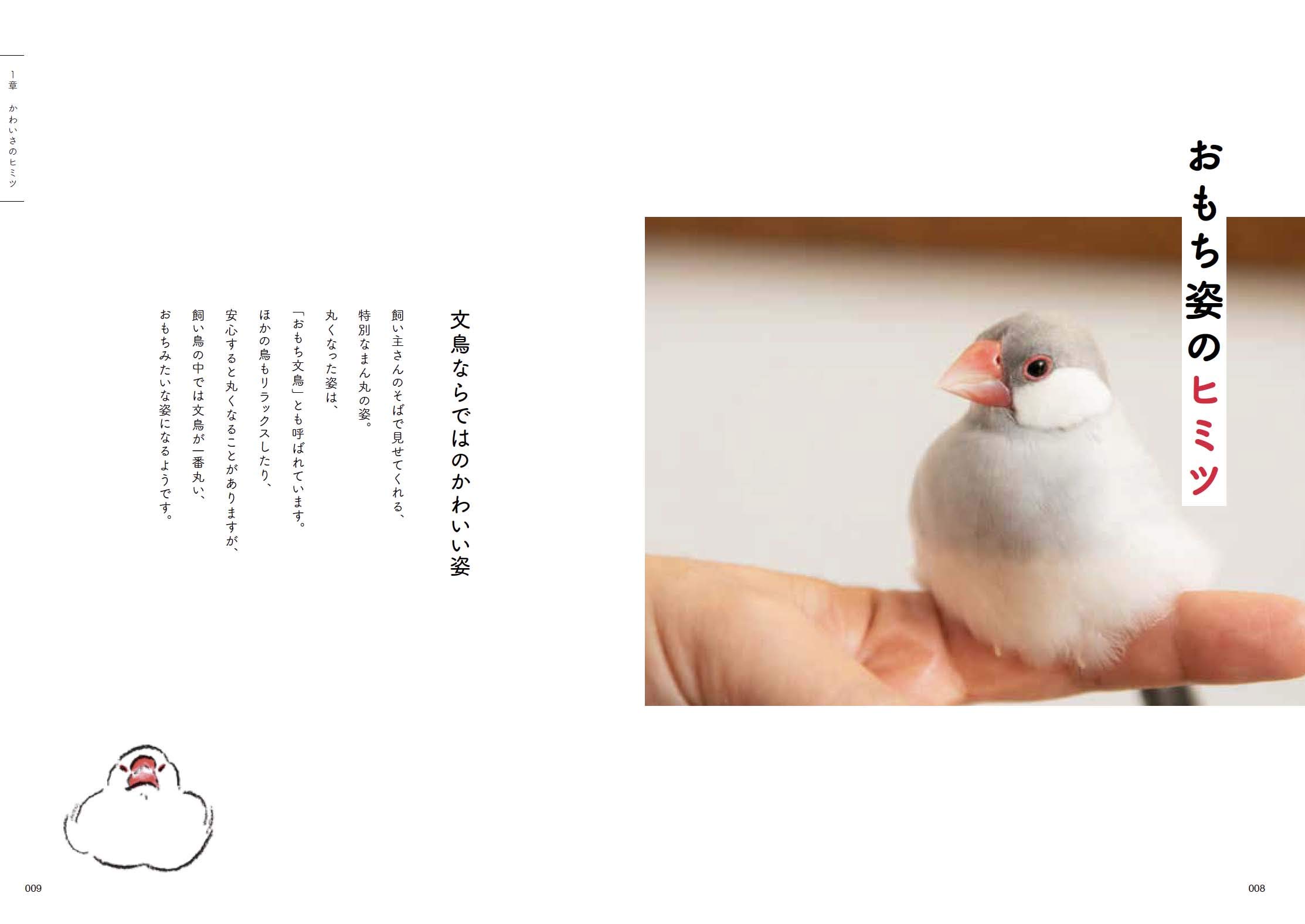 60周年 グラフィック社 編集部 Ar Twitter 3月新刊 予約開始 文鳥のヒミツ 海老沢和荘 グラフィック社編集部 著 小鳥専門医による初めての文鳥本 体の仕組みや可愛いしぐさのヒミツを生物学的な視点でわかりやすく解説 ペレット 総合栄養食 図鑑も