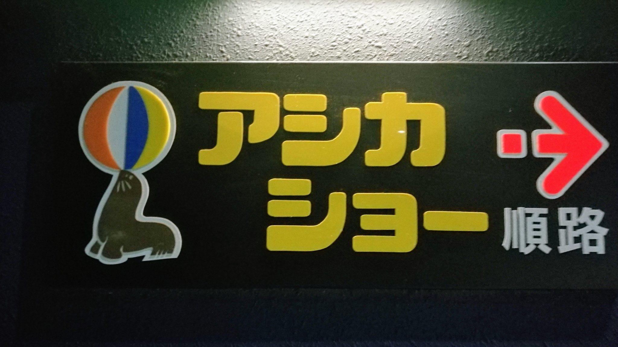 ビロくん 順路の矢印看板だけ集めた写真集とかあれば欲しいなぁ 秘宝舘とかの順路看板も最高だもんな T Co Euyv9yrfjv Twitter ビロくん 順路の矢印看板だけ集めた写真集とかあれば欲しいなぁ 秘宝舘とかの順路看板も最高だもんな T Co Euyv9yrfjv Twitter