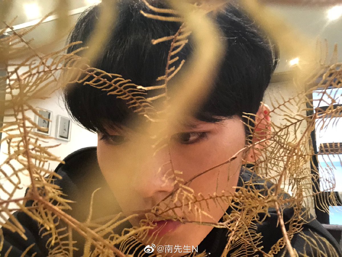 kiwonssmile's tweet photo. haolin’s weibo update! 

改变不了就去适应 🌞 https://t.co/rYFo1ZlR1p