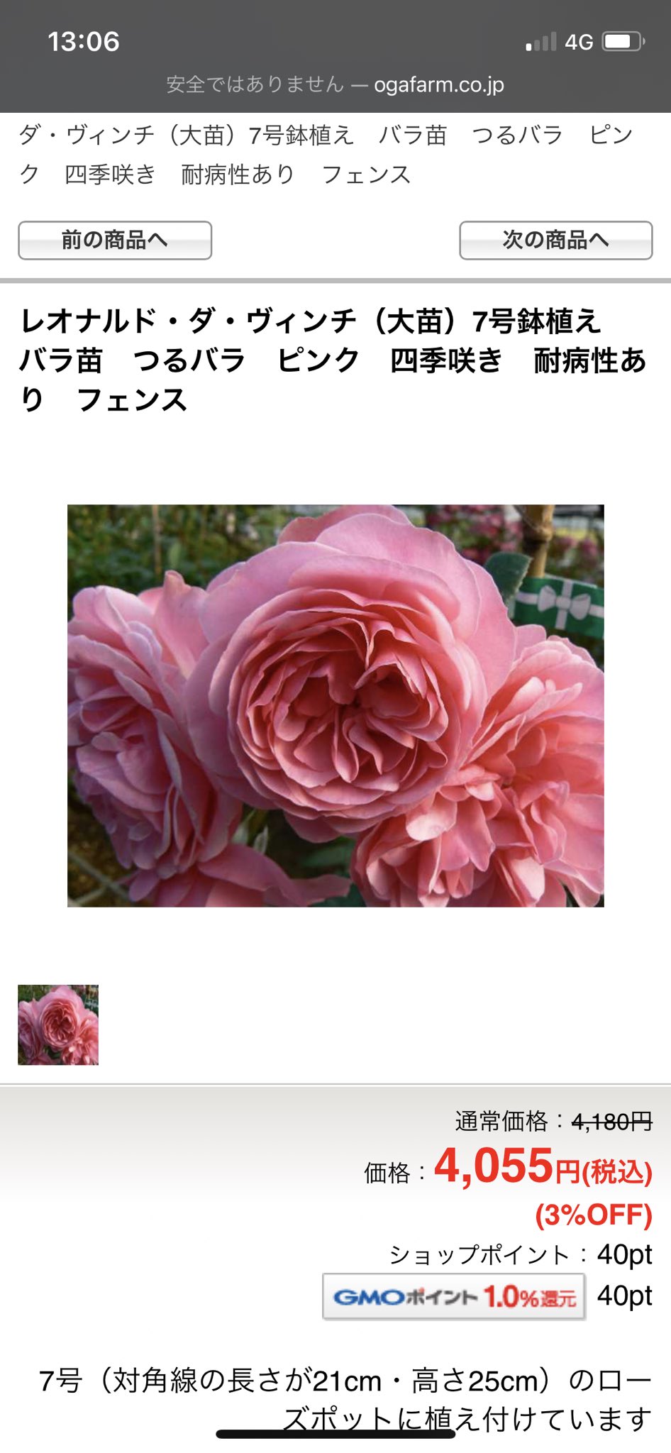 こぐまりこ レオナルドダヴィンチっていう薔薇あるんだね ちょっと面白い こぐまりこ レオナルドダヴィンチっていう薔薇あるんだね ちょっと面白い