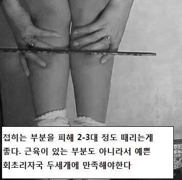 열대가 넘어가고 종아리가 기분좋게 뜨끔거리고 아랫도리는 젖어오는데 오늘따라 가느다란 회초리여서 그런지 자국도 뚜렷하게 안나고 뭔가 아쉽다. 샘, 저..무릎 뒤에 때려주세요.아프게요.. 피부가 얇은데라 약한 매질인데도 맞자마자 무릎이 굽혀지며, 보랏빛 맷자죽이 새겨진다