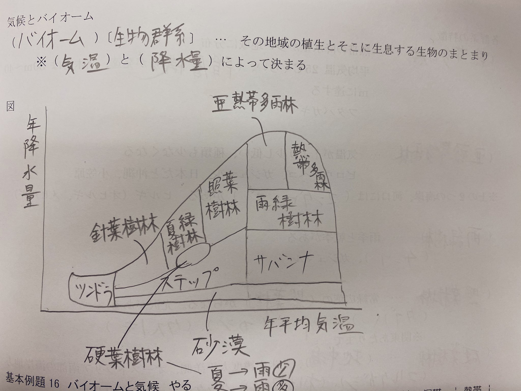 Kentou 𓀎 La Ligka 生物 生物基礎やってる人は絶対に知っている図 T Co Qf8mtbpkjy Twitter