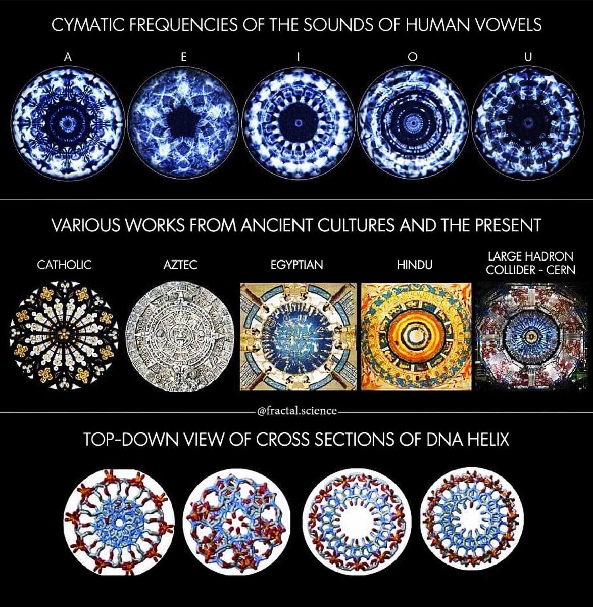cymatics ableton color combinations