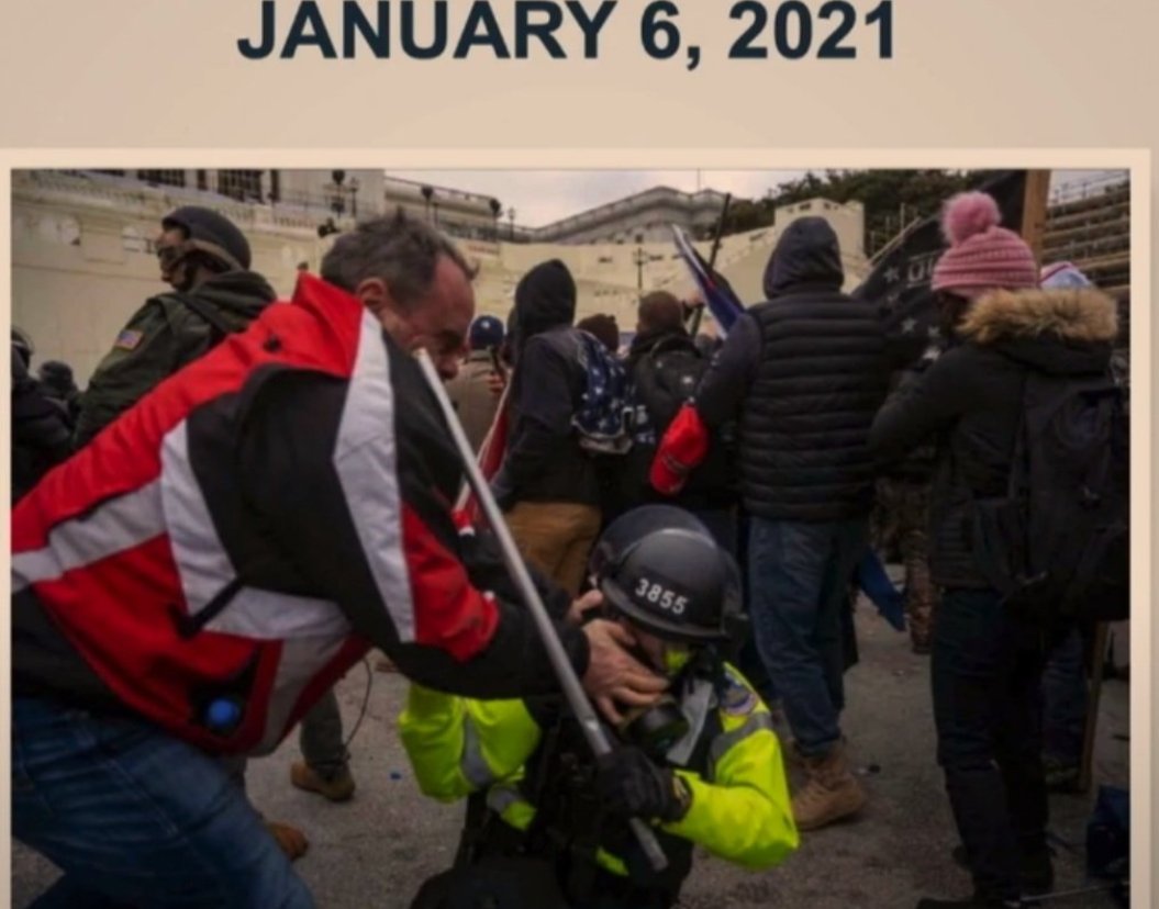 Wendy Wills tweet media