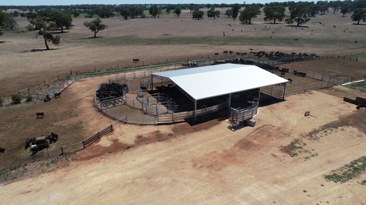ActionSteel's tweet photo. Another collaboration with @ProWay2000.👌
A 24m x 21m x 4m cattle yard cover completed last year at Wannon, VIC.
#BigSheds #ProWayAUS https://t.co/V7hZGaJWum