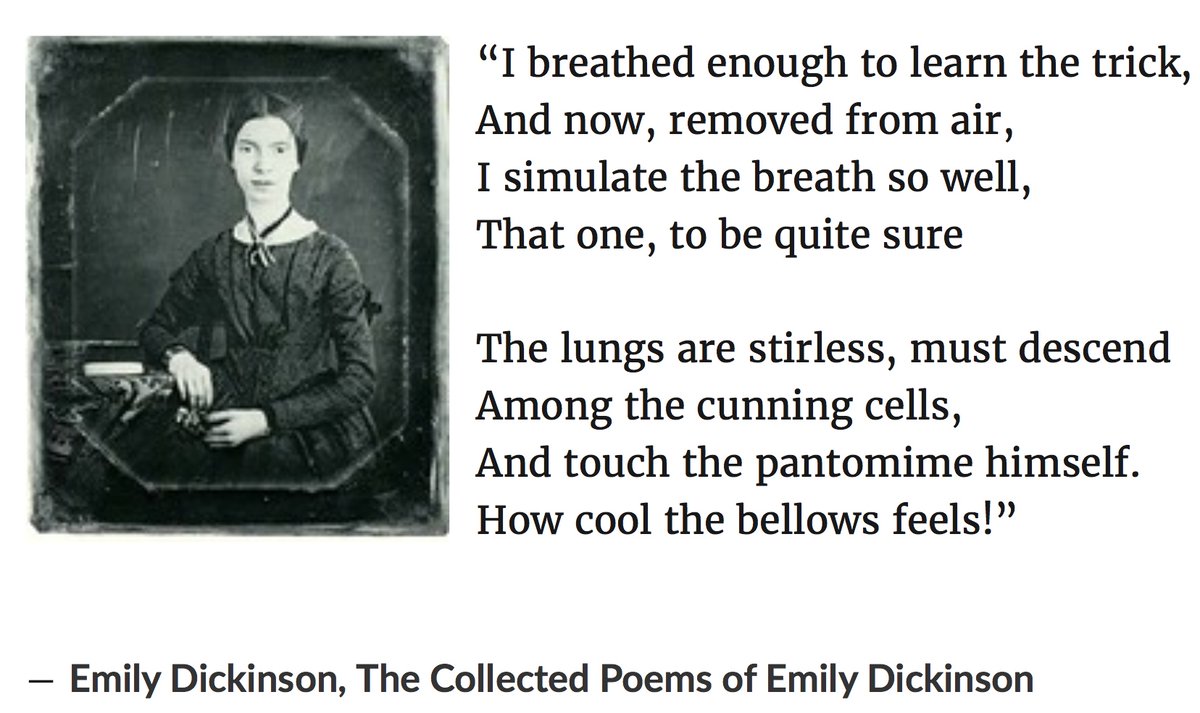 JoshNewMusic's tweet photo. The title of our show of works for video, "Removed From Air", comes from a poem by #emilyDickinson. Join us Sat, Feb 20, 7:30 CST on our youtube channel. You can talk to the artists in the live chat! https://t.co/gcbMuaA7cs