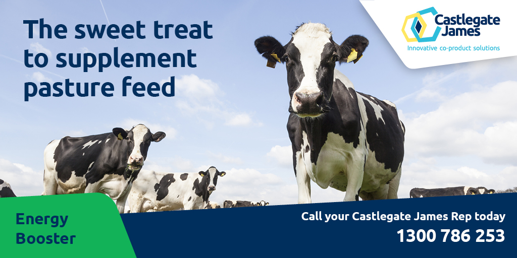 #VICTORIAN dairy farmers. Energy Booster - a very palatable and high energy feed assists in improving milk production in dairy cows and weight gain in beef cattle. #dairy #suppliment #pasturenotenough