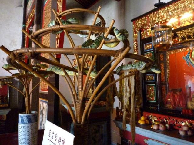 This evening we're visiting the Snake Temple, also called the Temple of the Azure Cloud, in Penang, Malaysia. It's a Chinese temple built in 1805 and is filled with smoke from burning incense and pit vipers. It's believed the incense calms the snakes, but for safety they have....