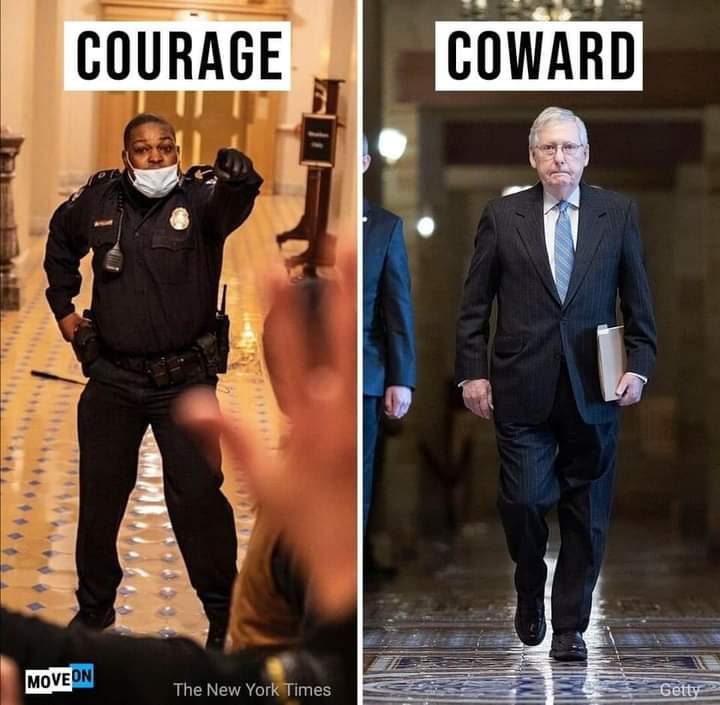 ChipmanJamie's tweet image. True that! #MoscowMitch lost his set of balls a long time ago.