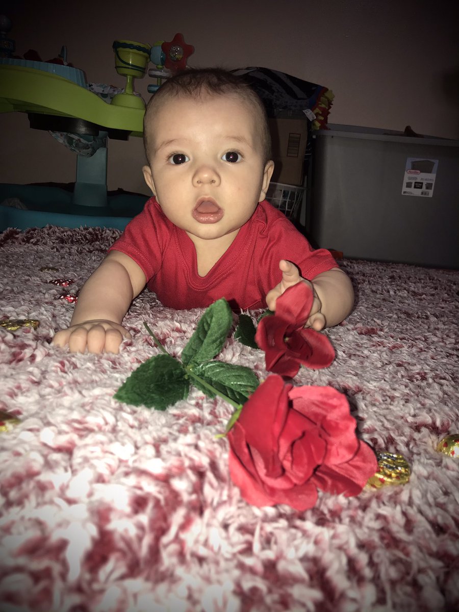 leslea_marie's tweet photo. My son is literally the cutest https://t.co/mzJ67njS17