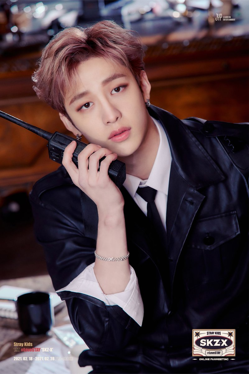 Stray Kids 1ST #LoveSTAY SKZ-X SKZOO OFFICIAL GOODS WAPPEN