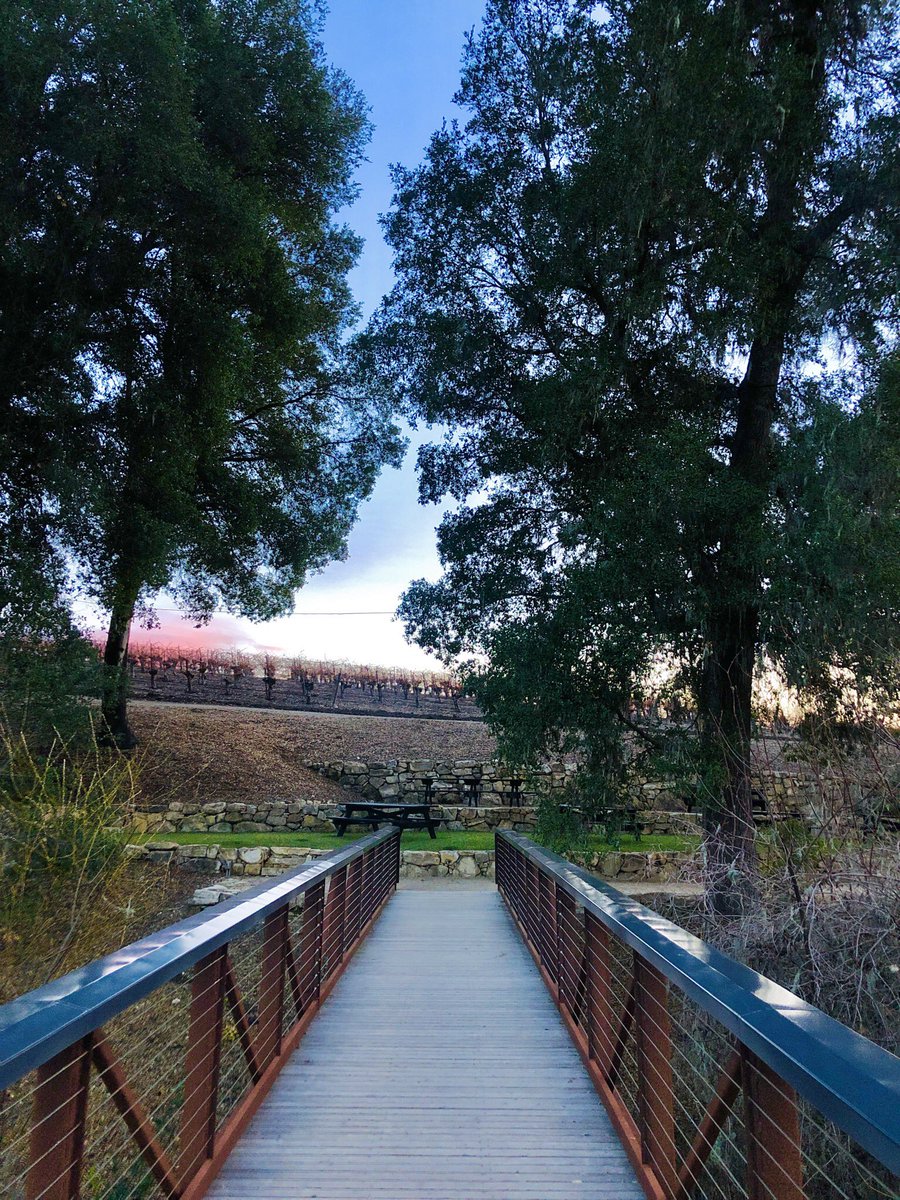 DestinationDRVR's tweet image. Tour stop @BreconEstate 🍷 get out here. #winetasting #pasorobles