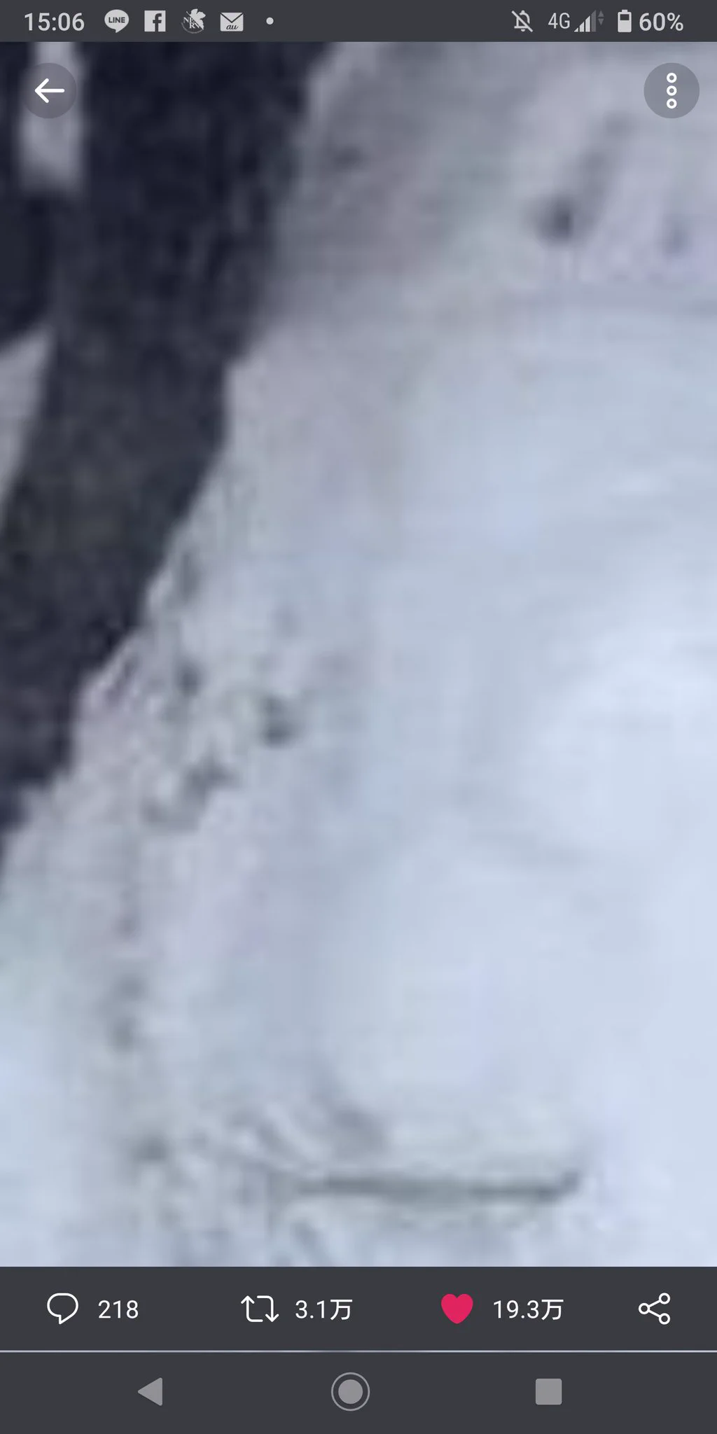 @CPAKO999 犬いた(？) 