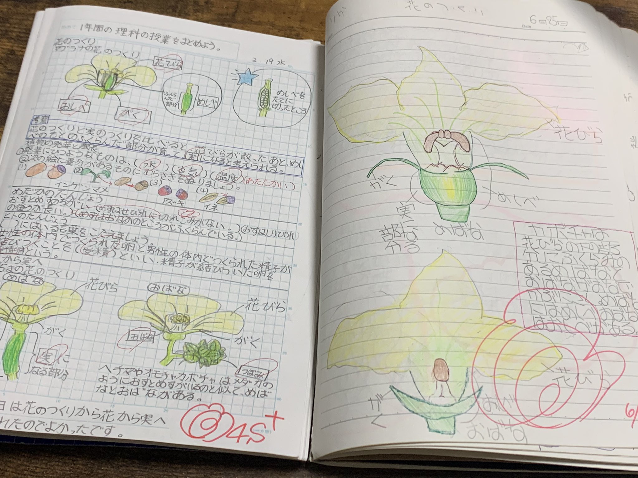 ゆきか 現役小学生の妹 左 と 10年ちょい前に小5の私 右 の自主学ノート 差が酷すぎてごめんなさいｗｗｗｗｗ T Co Wgocbuiztr Twitter