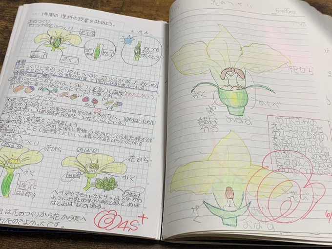 自主学習 勉強の5年生6年生のネタ切れに 算数社会理科のおすすめはこれ ロボットプログラミング教室体験談と小学生の習い事ブログ