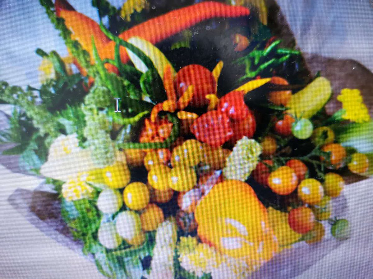 日本留学指南 Study Japan Twitter