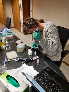 WURmarine's tweet photo. Stel je voor; je neemt een liter zeewater, en aan de hand van deze ene liter kun je aflezen welke #vissen er op die plek rondzwemmen. Het klinkt een beetje als een aflevering van een futuristische serie, maar het kan met #eDNA-sequencing! Lees hoe 👉 https://t.co/ZqJe4BQ7Ng https://t.co/XkJ2Js1zYP