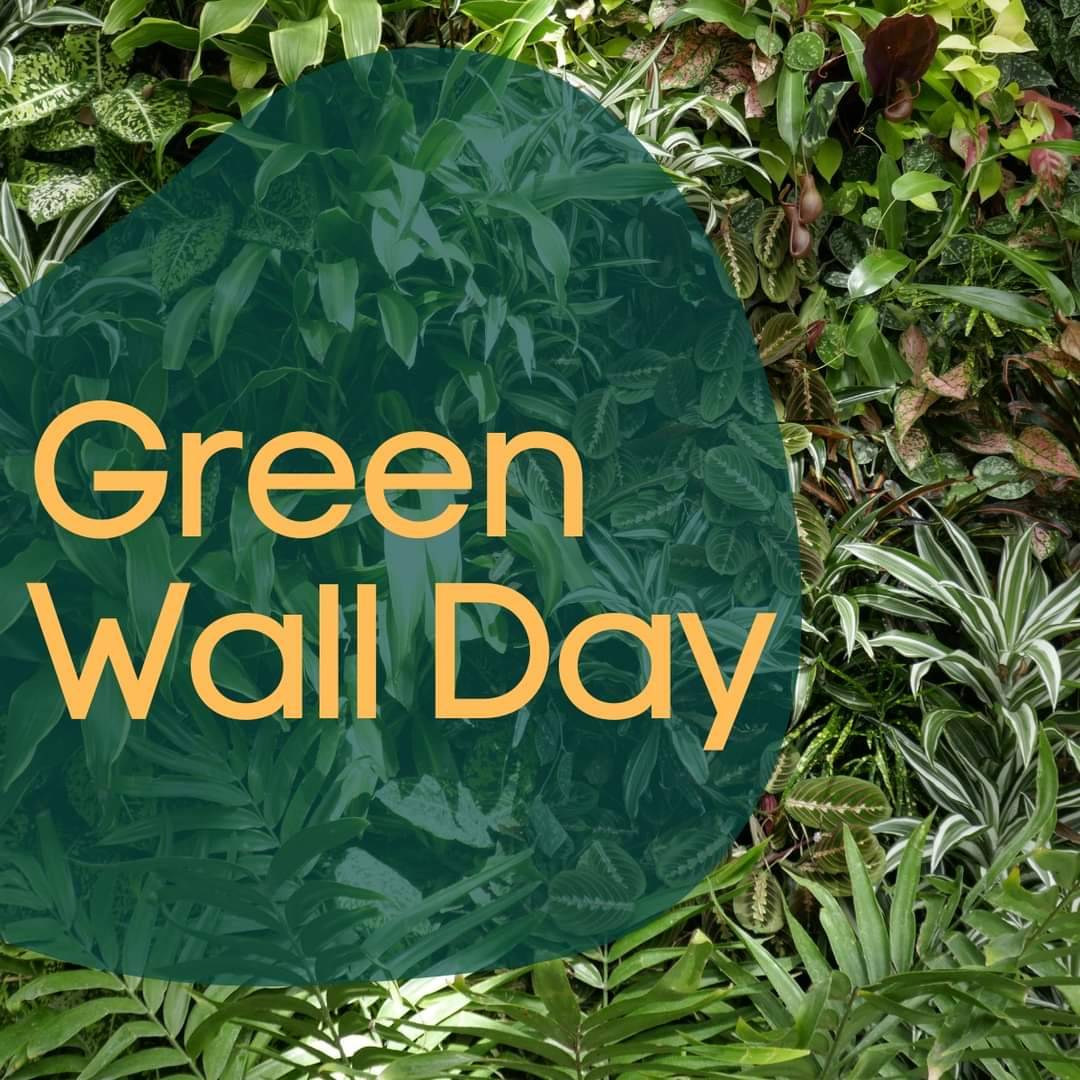 #GreenWallDay is a celebration of the wonderful living walls. We absolutely love installing and maintaining living walls for our clients as they can really transform a space.  #designwithplants